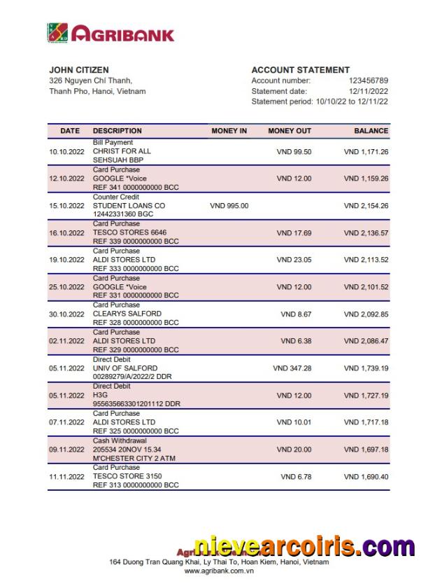 Vietnam Agribank bank statement
